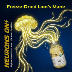 Baja North Mercantile freeze-dried lion's mane jar, pantry-ready