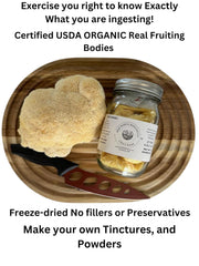 Baja North Mercantile USA-grown organic lion's mane on display