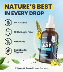 Balance Bioliqua Mullein Drops liquid close-up of clear tincture.