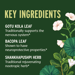 Banyan Botanicals Focus liquid amber bottle closeup highlighting alcohol-free formula.
