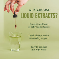 Banyan Botanicals Focus liquid label detail with organic gotu kola and brahmi herbs.