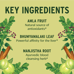 Amla Kalmegh herbal blend image reflecting organic detox herbs.