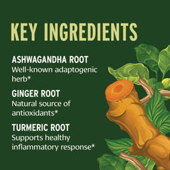 Banyan Botanicals Travel Well package box showcasing organic, sustainable blend.