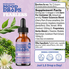 Barlean's Mood Booster dropper showing convenient, fast-absorbing liquid drops.