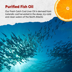 Refrigerated Barlean's Omega-3 bottle maintains freshness after opening.