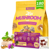 Basopum Mushroom Gummies jar shows a convenient daily focus boost