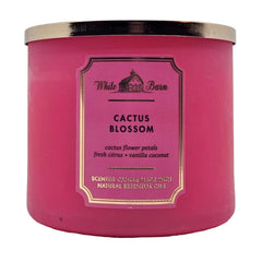 Bath & Body Works White Barn candle shows decorative lid adding modern decor touch.