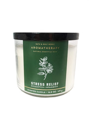 Bath & Body Works Aromatherapy Eucalyptus Spearmint 3-Wick candle — front view for focused ambiance