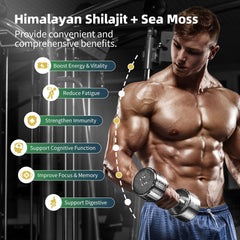 BBEEAAUU Sea Moss capsules packaging highlights digestion and immunity.