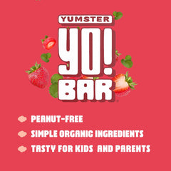 Bearded Brothers Yo Bar on grocery shelf, gluten-free and paleo friendly