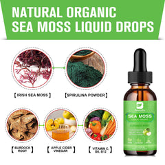 Dropper releasing drops into water from B BEWORTHS Sea Moss bottle for convenient energy