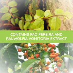 Beljanski Prostabel Pao Pereira ingredients close-up
