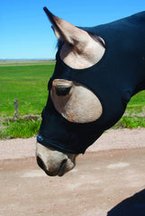 BENEFAB Rejuvenate SmartHood magnet placement targets neck and poll for comfort.