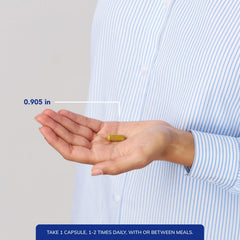 Berberine UltraSorb phytosome close-up suggests enhanced absorption.