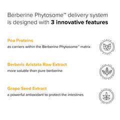 Berbevis ingredient badge highlights premium berberine phytosome for absorption.