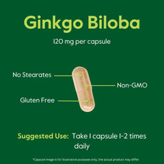 Bestvite Ginkgo Biloba label close-up highlighting potency and ingredients.