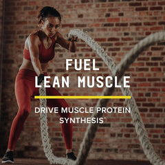 Beyond Raw Creatine HCl powder ingredient label highlights gluten-free, sugar-free formula.