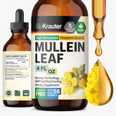 BIO KRAUTER Mullein Drops bottle front view highlighting the clean-label formula for lungs support