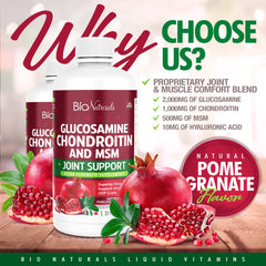 Bio Naturals glucosamine label closeup reveals per-serving ingredients