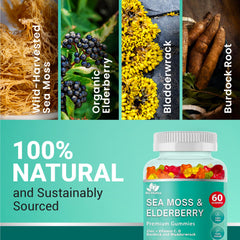 Texture close-up of Bio Vitalica gummies for everyday wellness.