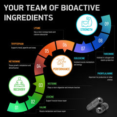 BIOACTIVE LABS vegan non-GMO label on bottle signals clean ingredients.