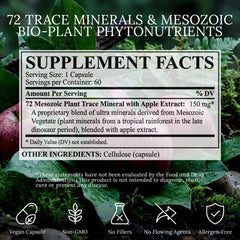 BioImmersion Energía: cápsulas para balance metabólico diario.