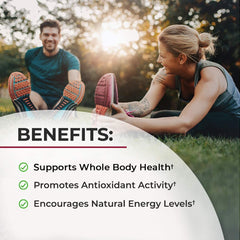 BioSchwartz Sugar Free Beet Root Gummies label-back explains coconut oil for better absorption