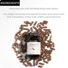 Blisque Shilajit packaging on white, highlighting Himalayan origin and authenticity.