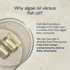 Blueprint Bryan Johnson Omega-3 label in clean environment, free from fish contaminants.