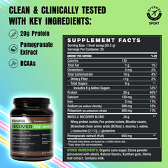 Serving scoop of BODi Recover chocolate whey for muscle repair post-exercise