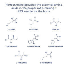 Graphic of essential amino acids emphasizing building blocks for recovery and performance potential.