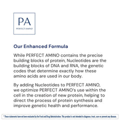 BodyHealth PerfectAmino powder NSF certification logo indicating sport-safety standards