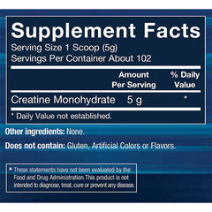 BODYTECH Creatine Monohydrate powder scoop enables precise serving for consistent training