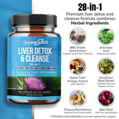 Bodywork360 Apple Cider Vinegar capsule scene highlights digestion support and vitality.