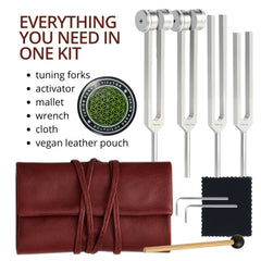 BOGAZNET 512Hz fork delivering deep resonance during energy work