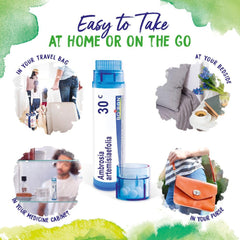 Boiron Ambrosia Artemisiaefolia 30C pellets on the go packaging for travel relief