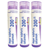 Boiron Hepar Sulphuris Calcareum pellets in tubes for easy dosing