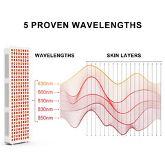 Wide coverage area at close range for efficient treatment sessions.
