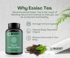 BoostCeuticals Essiac capsules label and ingredients highlight vegan formula.