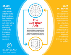 Brain Bean IgG powder blended into a protein shake for convenience.