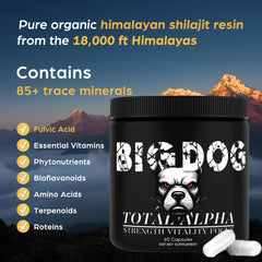 Bruiseweed Big Dog 3-in-1 Total Alpha label, clean non-GMO plant-based formula.