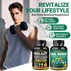 Bualle Shilajit capsules ready for energy-supporting daily routine