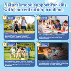 BudLive Kids Munchies saffron strawberry gummies supporting daily mood balance.
