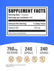 Bulksupplements Betaine HCl capsules closeup, compact and portable.