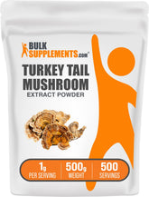 BulkSupplements Turkey Tail mushroom extract powder bottle for daily wellness.