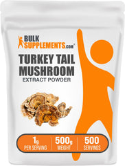 BulkSupplements Turkey Tail mushroom extract powder bottle for daily wellness.
