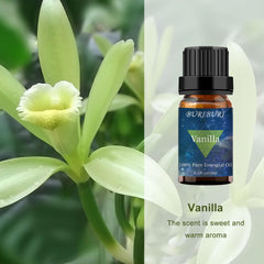 BURIBURI vanilla oil diffuser setup showing soothing aroma for home