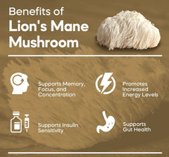 Buy The Crave USDA organic lion's mane powder label signals purity.