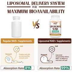 Caenciennes liposomal NAD+ formula with sunflower lecithin highlights enhanced absorption