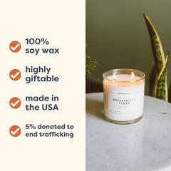 Calyan Wax Co. candle glow enhances living room warmth with eucalyptus and fir.